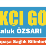 Haluk Özsarı yazdı: Sağlık sigortacılığında uzun ömürlülüğü doğru anlamak