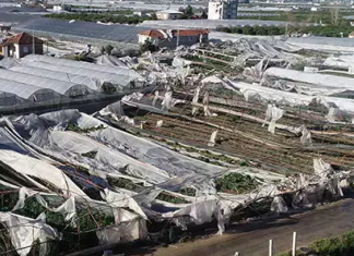 Antalya’daki sera zararında TARSİM’e 1750 hasar ihbarı