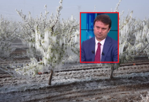 2025’teki don afeti sebep oldu TARSİM Temel Sigorta Paketi çıkardı