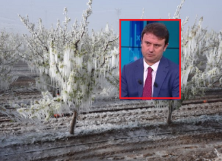 2025’teki don afeti sebep oldu TARSİM Temel Sigorta Paketi çıkardı