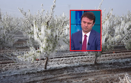 2025’teki don afeti sebep oldu TARSİM Temel Sigorta Paketi çıkardı