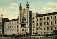 Haluk Özsarı yazdı: İnsanlığa adanmış yaşamlar