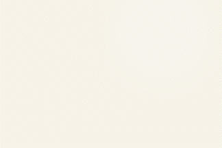 spot_img